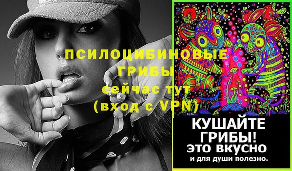 COCAINE Бородино