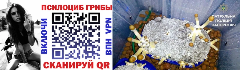 Галлюциногенные грибы прущие грибы  мега вход  Гурьевск 